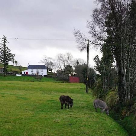 Meenadreen Cottage Donegal Town Extérieur photo