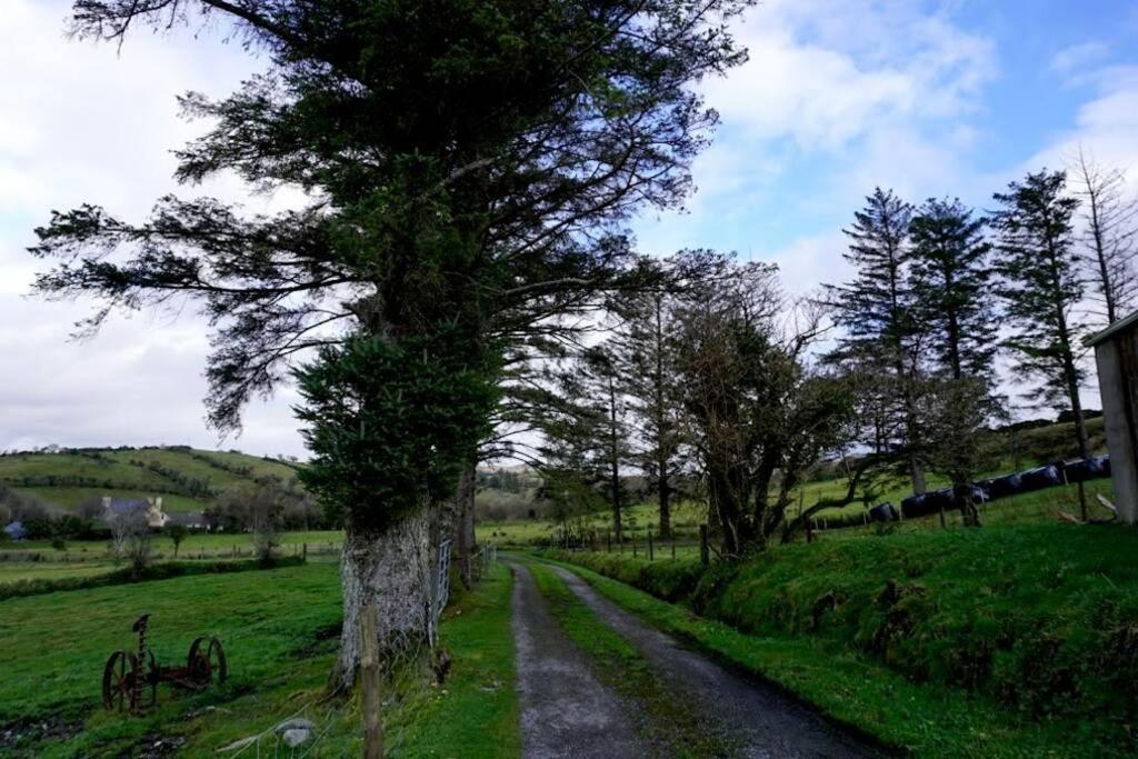 Meenadreen Cottage Donegal Town Extérieur photo