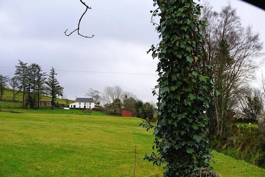 Meenadreen Cottage Donegal Town Extérieur photo